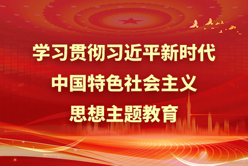 學(xué)習(xí)貫徹習(xí)近平新時(shí)代中國(guó)特色社會(huì)主義思想主題教育