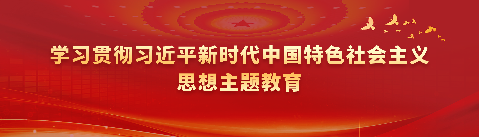 學(xué)習(xí)貫徹習(xí)近平新時(shí)代中國(guó)特色社會(huì)主義思想主題教育